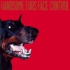 HANDSOME FURS