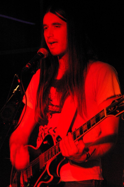 THE WILLOWZ - Toulouse, Le Klo, Fvrier 2008