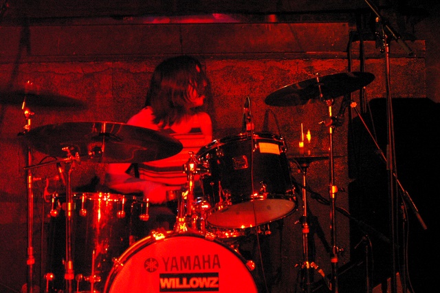 THE WILLOWZ - Toulouse, Le Klo, Fvrier 2008