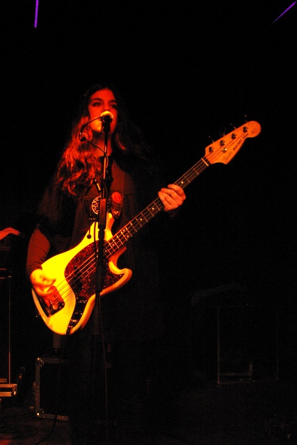 THE WILLOWZ - Toulouse, Le Klo, Fvrier 2008